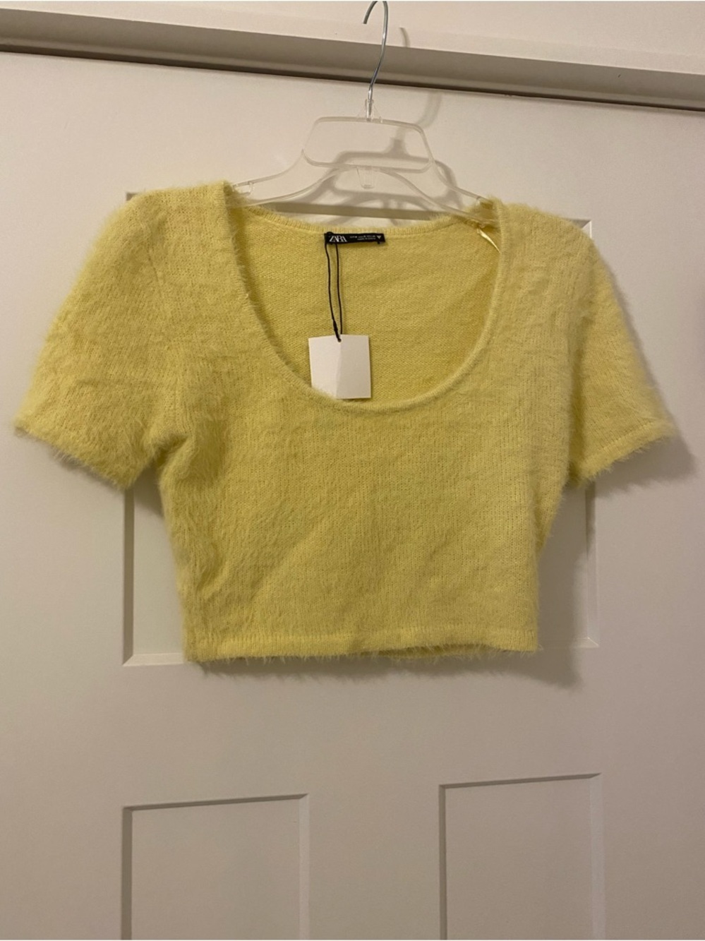 Zara Cropped Fuzzy Short Sleeve Sweater